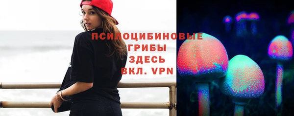 индика Куйбышев