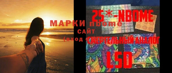индика Куйбышев